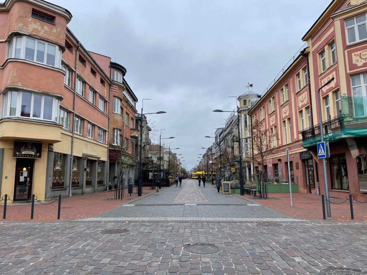 Jaukus Apartamentai Miesto Centre Daire Šiauliai Dış mekan fotoğraf